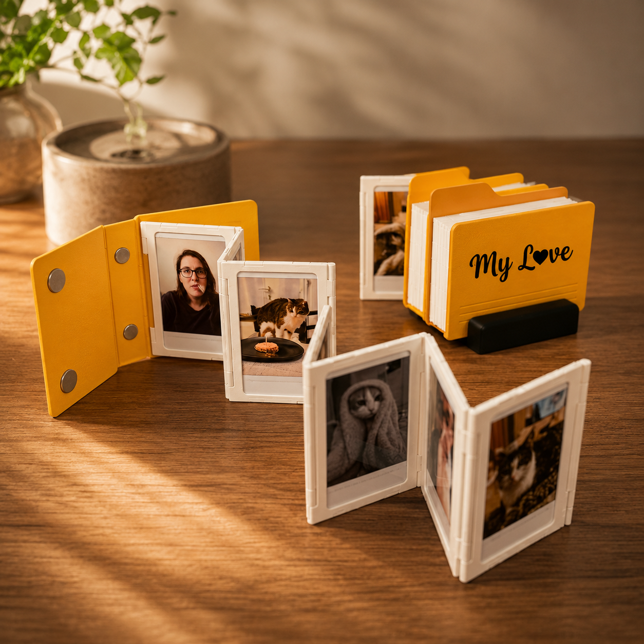 Frame & Fold — Desktop Memory Album